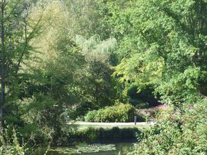 Ausblick in den Kurpark
</br>
</br>