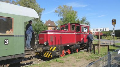 Bispingen / Heide