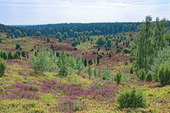 Lüneburger Heide